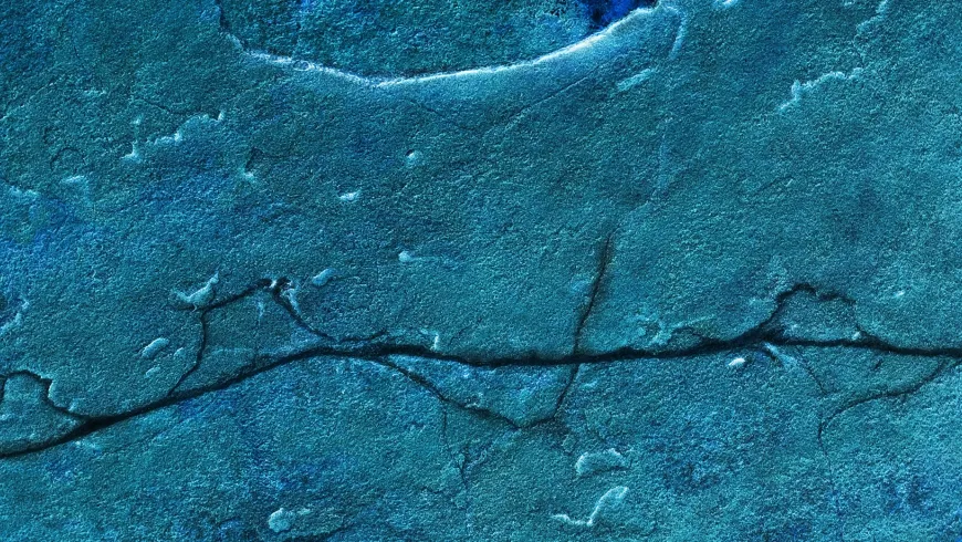 Congreso internacional "Frontiers and Wastelands"