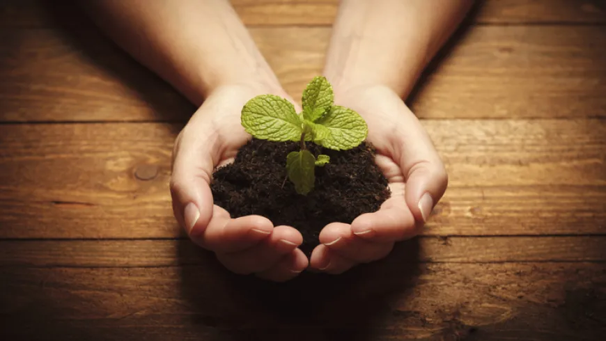 Charla sobre Ecocrítica para Ecologistas en Acción