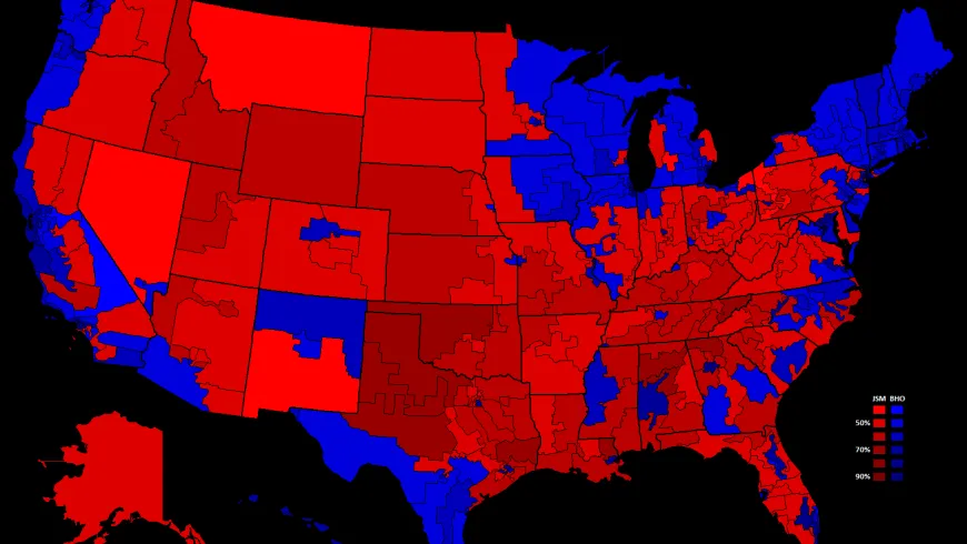 electoral vote 2008