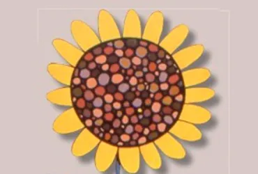 Curso de verano: “Territorios de la Novela Gráfica. Historia, realidad, literatura, cine, intertextualidad y cómic”