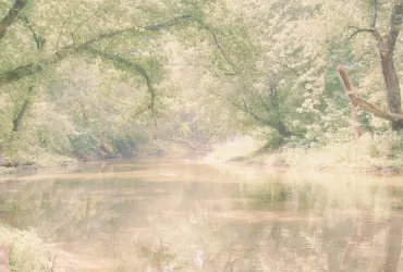 Conferencia &quot;Walt Whitman y su contexto, su obra en marcha 'Hojas de hierba' influencia e impacto de su poesía&quot;