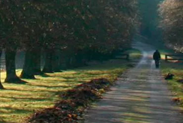 Culture American Thoughts