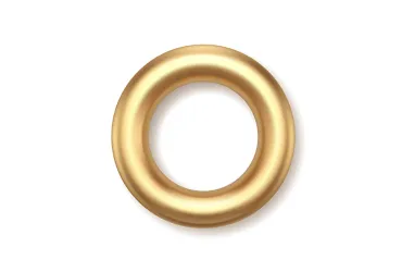 Entre el resentimiento y la culpa: migración calificada desde el Cono Sur a Estados Unidos en primera persona